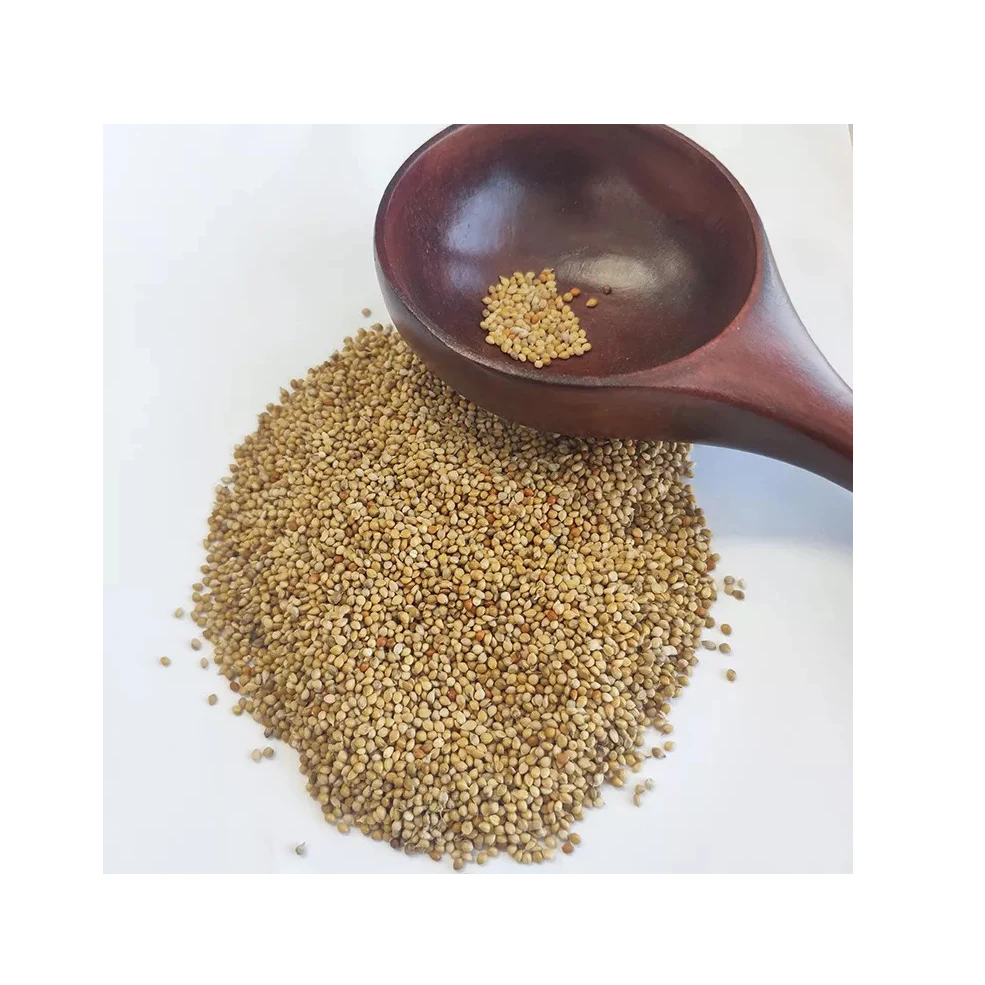 Best quality green millet animal feeds exporter from Egypt