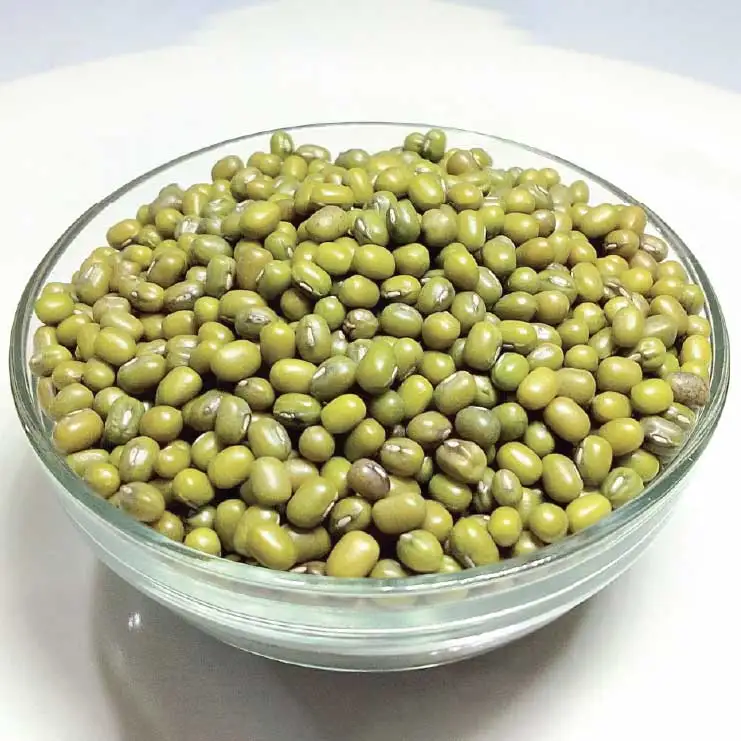 Top quality Green Grams  Vigna Beans in wholesale