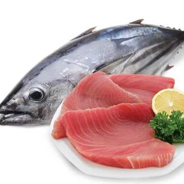 Wholesale Bulk Frozen Whole Bullet Tuna Fish With HACCP GMP Certification From Vietnam Seafood