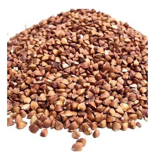 Hot Selling Price Organic buckwheat kernel /buckwheat seed / Grains in Bulk