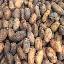 100% Cocoa Beans / Cocoa Seeds and Cocoa For Sale