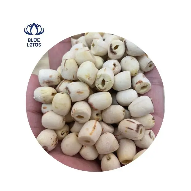 Семена лотоса