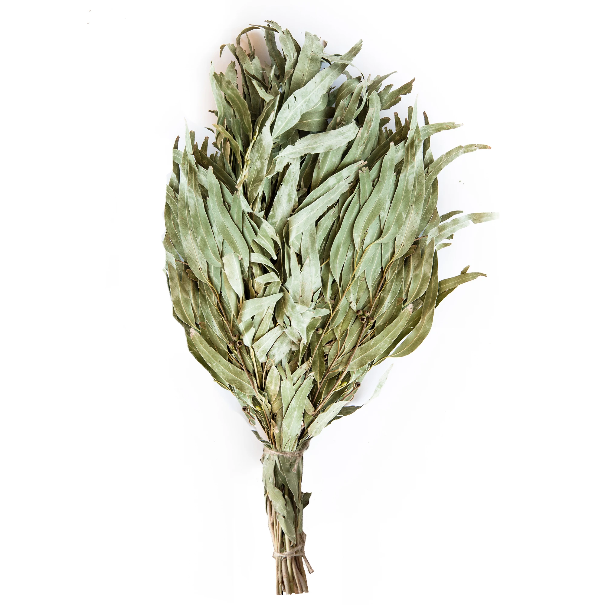 Traditional High Quality Handmade Organic Immune Stimulation Sauna Supplies Natural Eucalyptus Broom for Bath