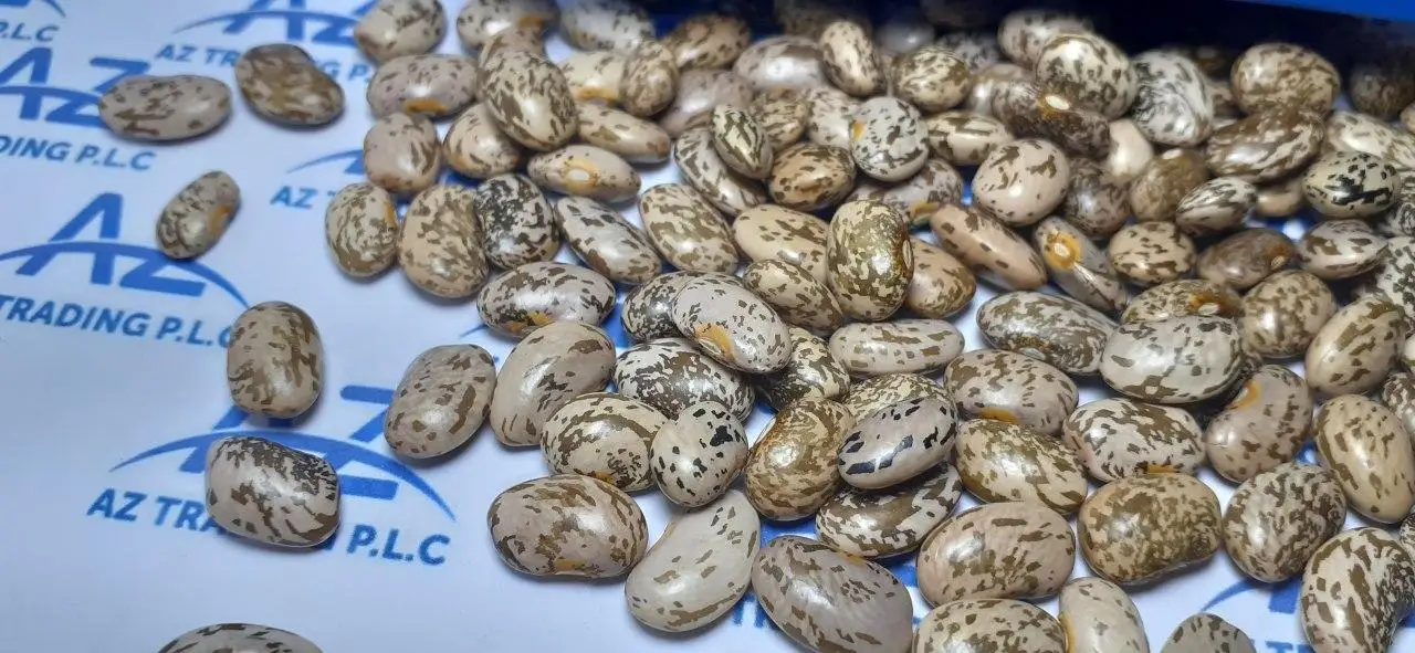 Factory Direct Sale: High-Quality 2024 Pinto Beans, All Sizes Available Premium Quality Bulk Quantity