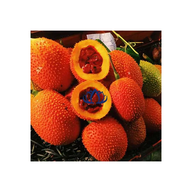 BEST SELLER 2023 HIGH GRADE FROZEN AND DRIED GAC MOMORDICA FRUIT FROM BLUE LOTUS FARM VIETNAM - DAVID PHAN