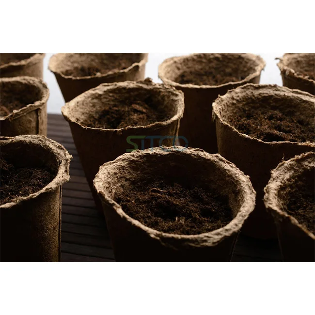 COIR SEEDLING CUP FOR SALE FROM INDIA