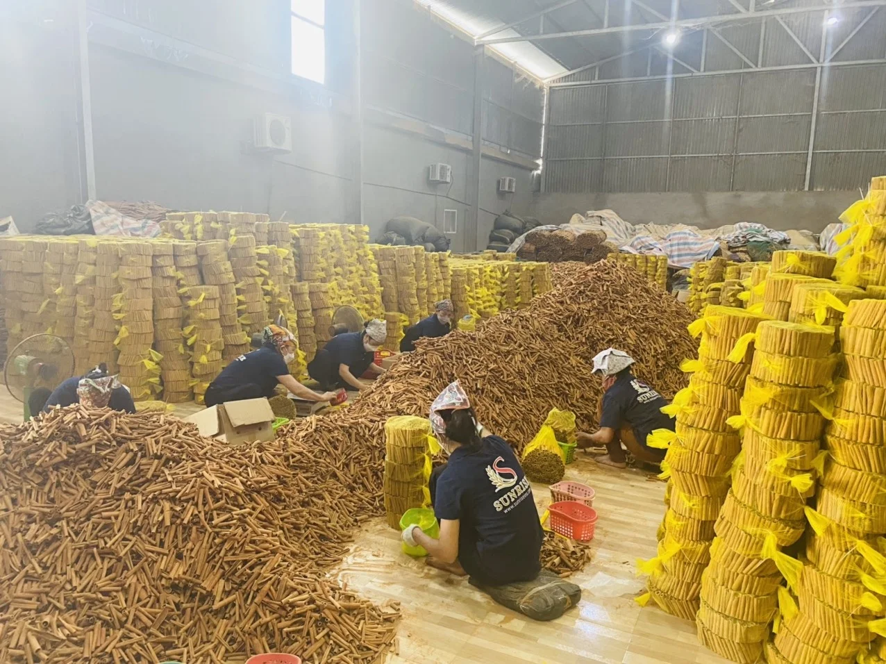 GOOD PRICE CASSIA/ CINNAMON NATURAL BROWN COLOR (Mobile/ WA: +84986778999 David Director)