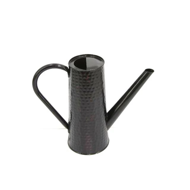 Galvanized Metal Watering Can For Indoor Garden watering and Home Garden Decoration