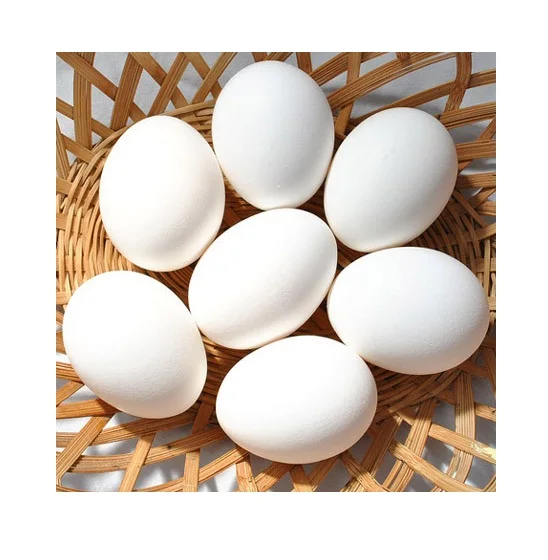 Best Quality Fresh Brown Table Chicken Eggs Cheap Fresh Chicken Table Eggs Fresh Chicken in bulk Brown Eggs