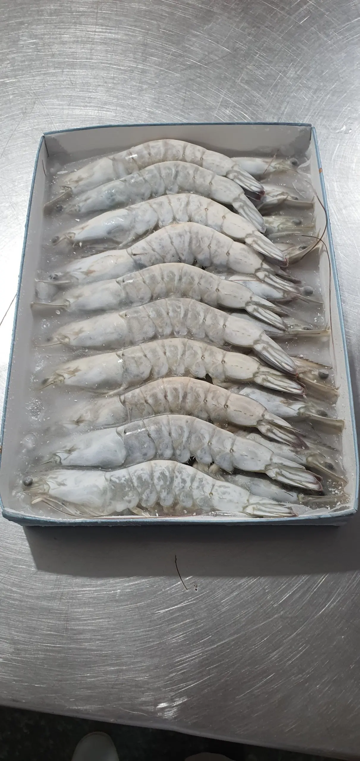 BEST SALE - FROZEN SHRIMP - HIGH QUALITY PRODUCTS