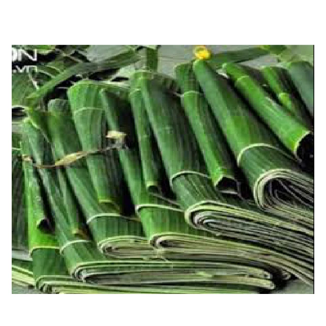 Product fresh Bananas from Viet Nam round Shape Banana Leaf High Quality