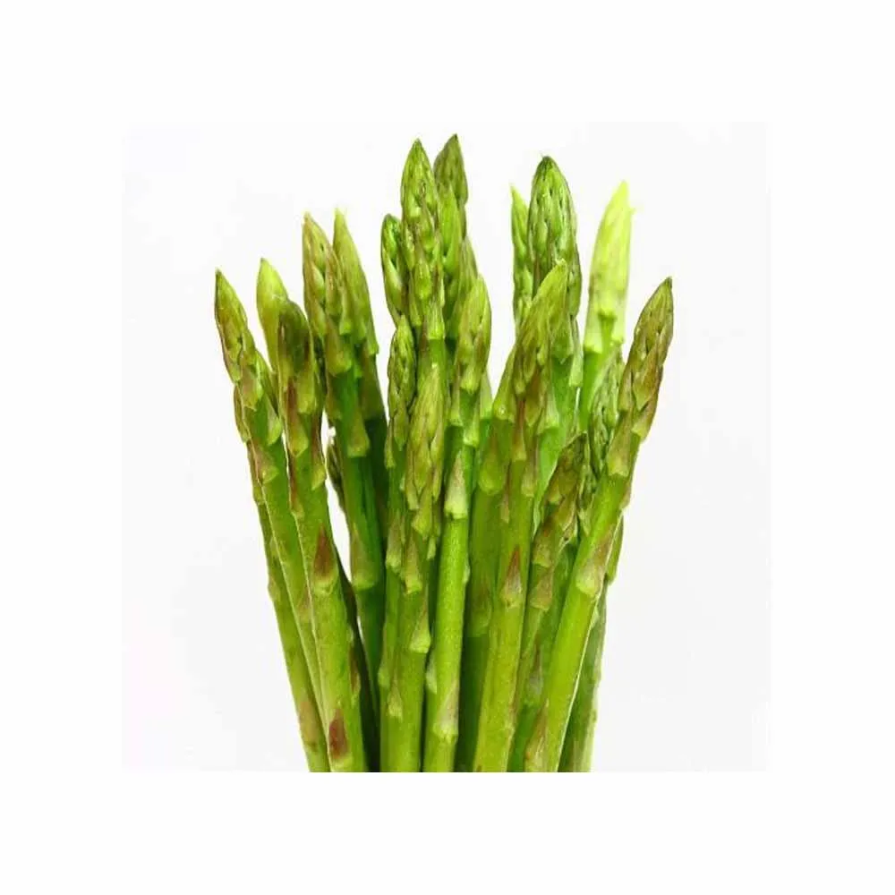 2023 Fresh Asparagus Ready to Export Premium Quality Fresh Vegetable