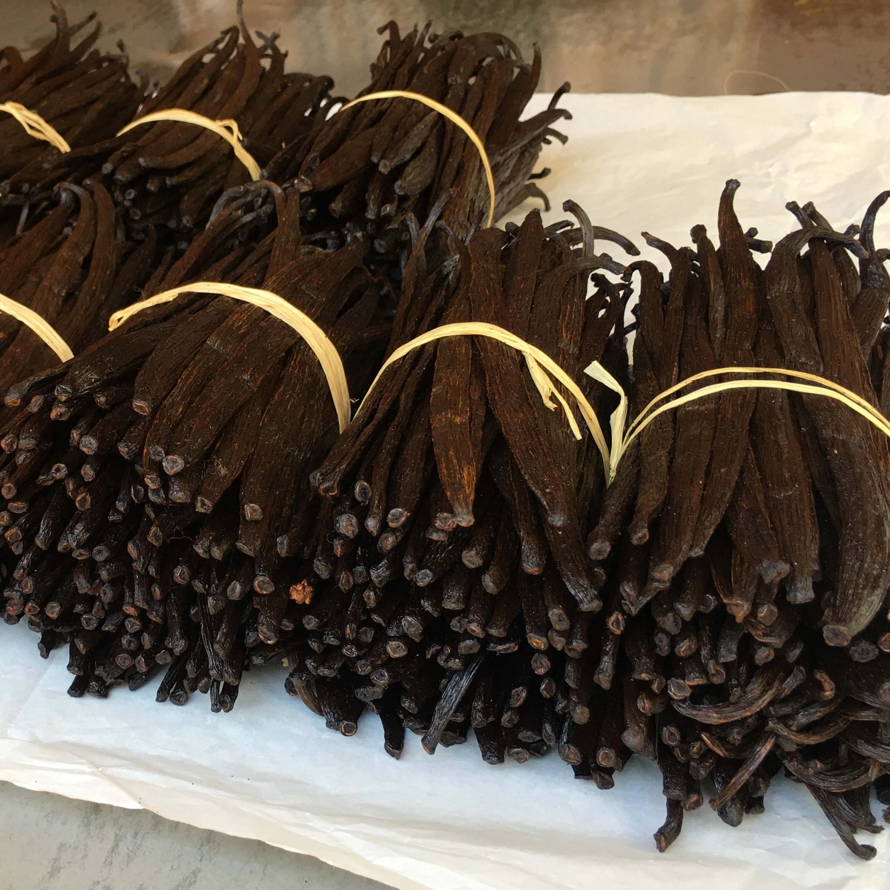 Grade a Organic Whole Vanilla Beans Fresh Sweet Taste Vanilla Pods for Extract and Baking Bulk Powder Packaging