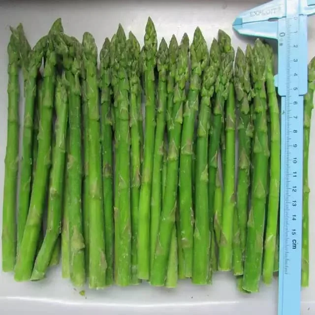 Top Fresh Asparagus,Asparagus vegetables,Fresh green asparagus from Germany..