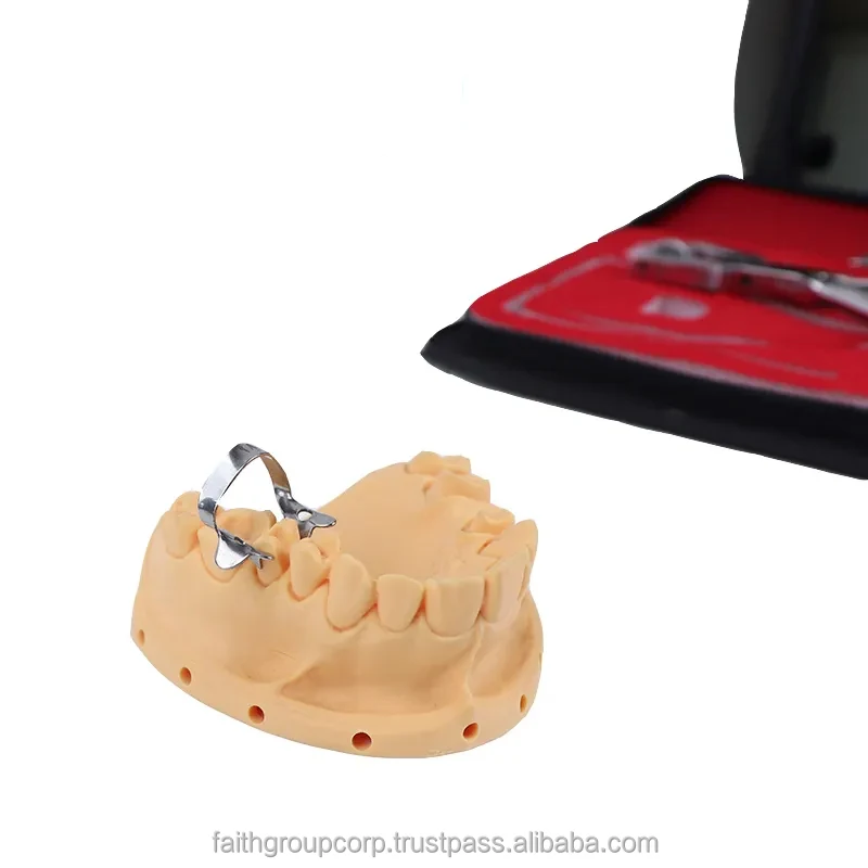 Dental Product Rubber Dam Kit12Pcs Stainless Steel Rubber Dam Kit Starter Dengan Klem