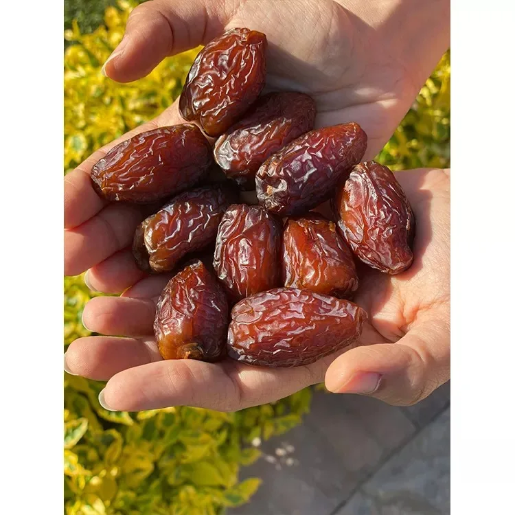 Delicious Dessert Fruit and Vegetable Products Healthy Energy Snacks Fresh Semi Dry Medjool Dates Supplier