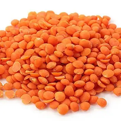 High quality new crop best price red lentils