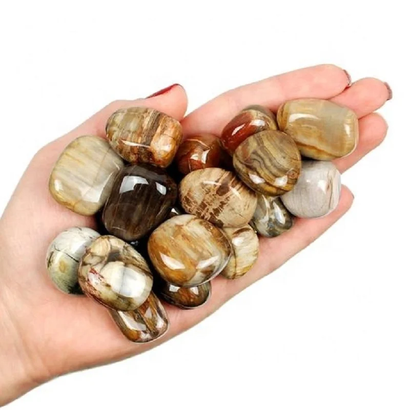 stone tumbled Petrified natural crystal tumbled healing bulk pebble agate Gemstone chakra petrified wood stone wholesale bulk