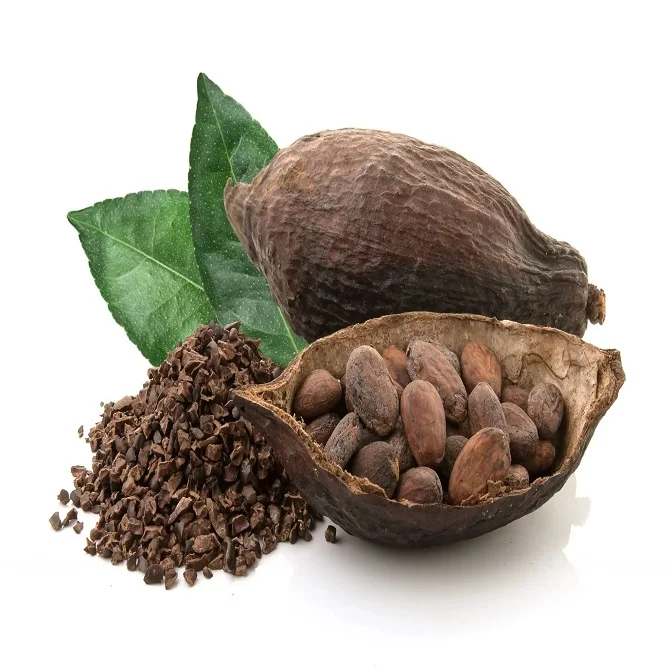 Cocoa Beans Ivory Coast | Bulk Cocoa Bean Suppliers