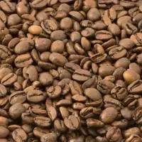 Factory Supplier Premium Robusta Coffee  High Quality coffee green beans robusta fully wash wet-polished Min order accepted