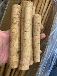 Herbal Slices Chinese Bags Style Storage Cool BURDOCK Food Boxes Health Package Weight Shelf Origin Type Full Life Jars Dried