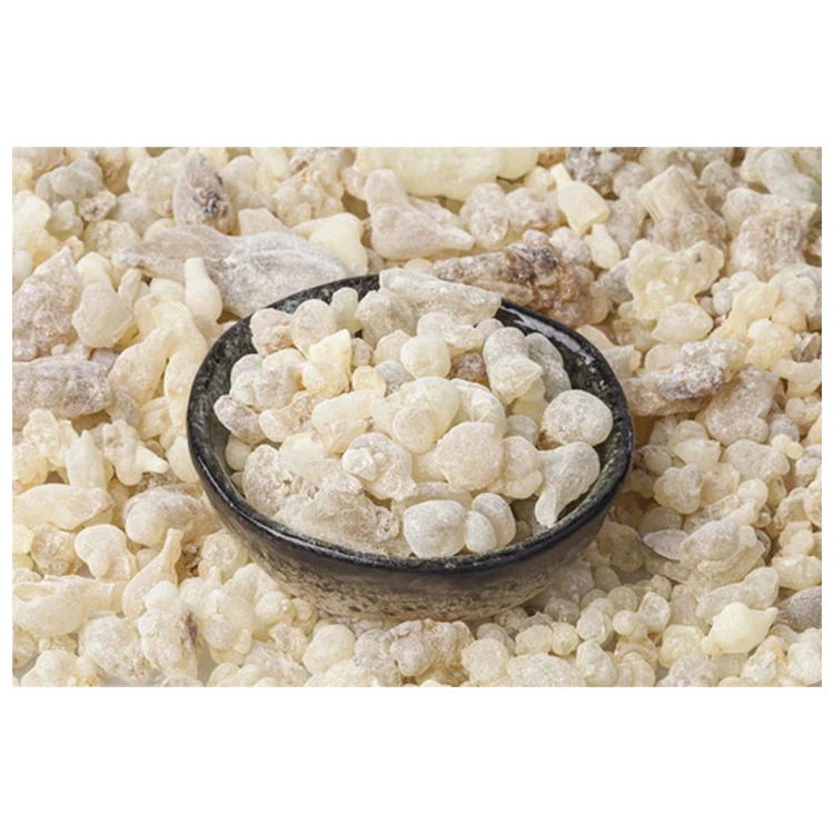 Oman Supplier Highest Selling Daily Used Cone Incense Type Gum Resin Superior Big Pieces Loban Frankincense Resin Gum for Sale