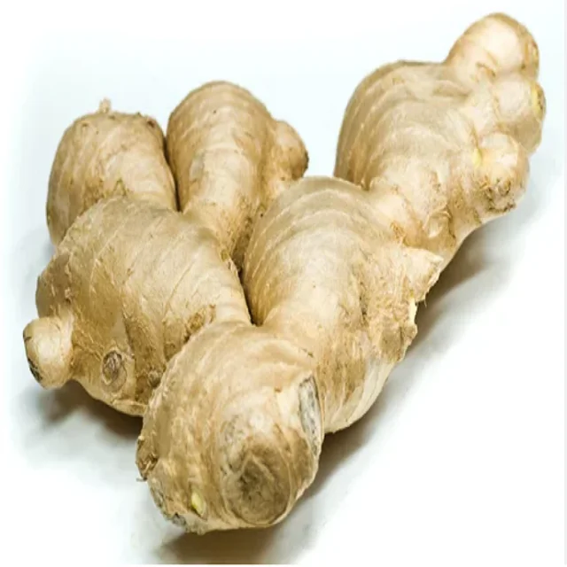 High quality dried fresh ginger market price per ton wholesale Ginger buyers for export Ginger