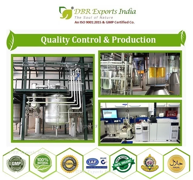 Ginger Oil 100% Pure & Natural Manufacturer of Certified Quality From India