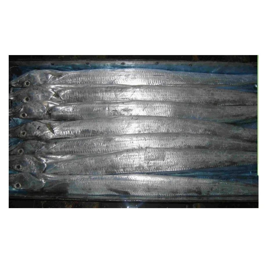 Frozen Ribbon Fish Hairtail Fish Cut Wholesale Supplier Ribbon Fish