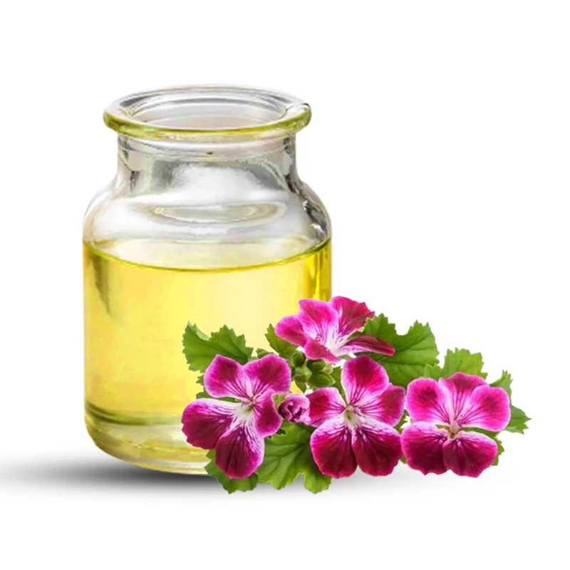 Top 12 Essential Oils Gift Set Pure Essential Oils Gift Set for Diffuser Humidifier Geranium Skin Care Oil