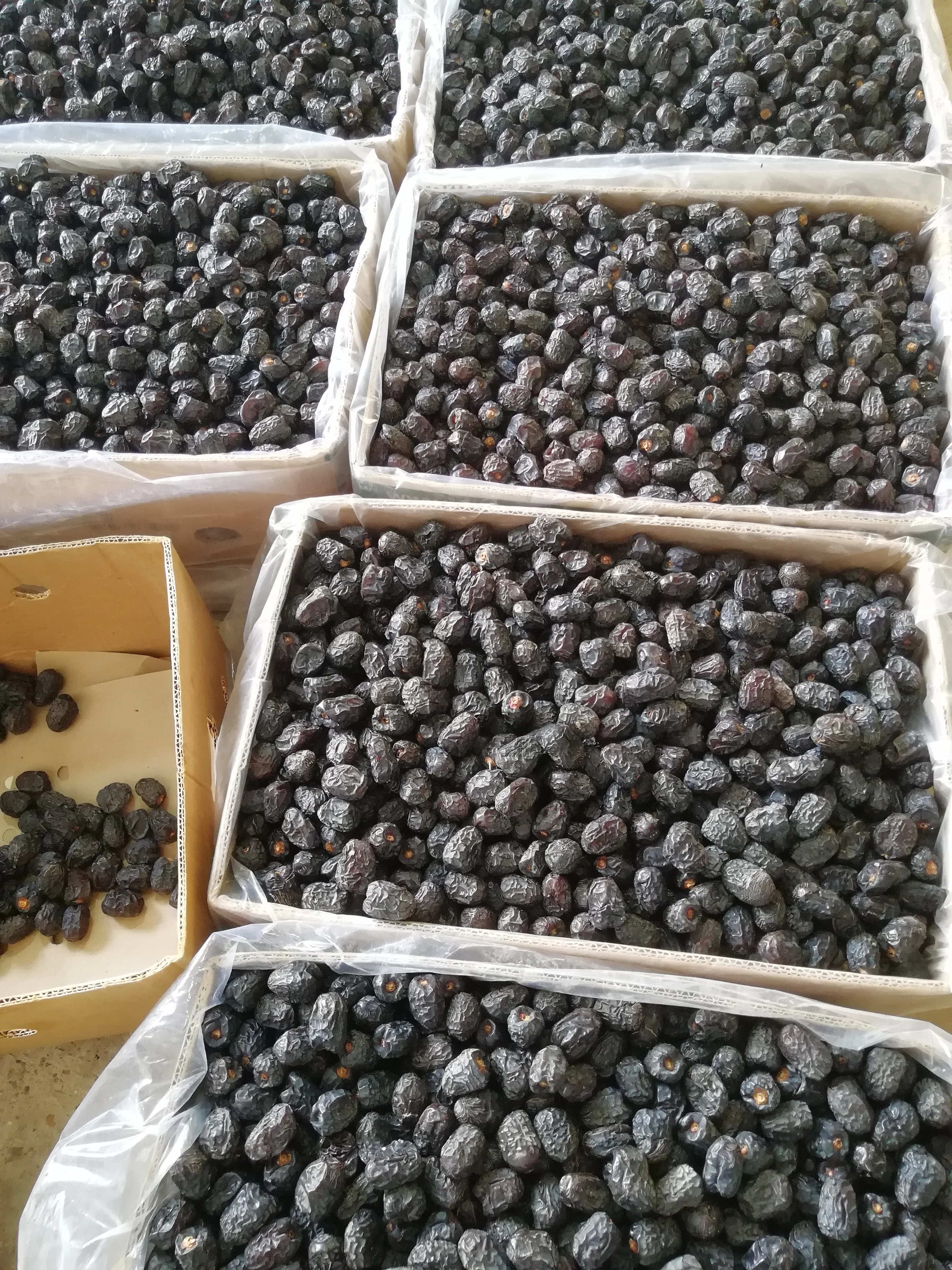 Ajwa black dates fresh harvest cheap and good quality from Saudi Arabia from leading exporter of dates
