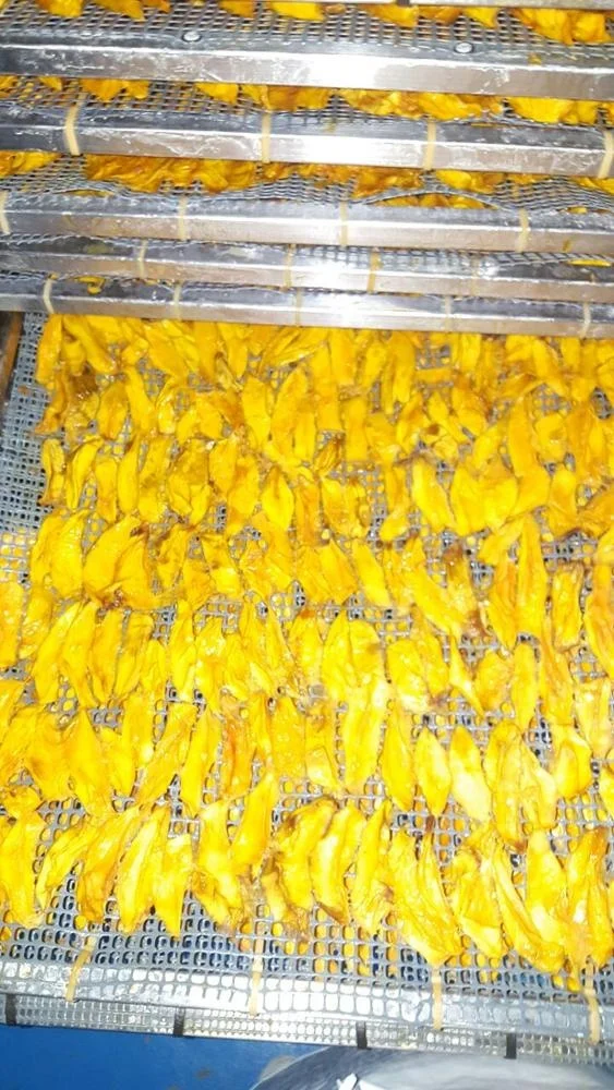 Dried Mango slices from Peru