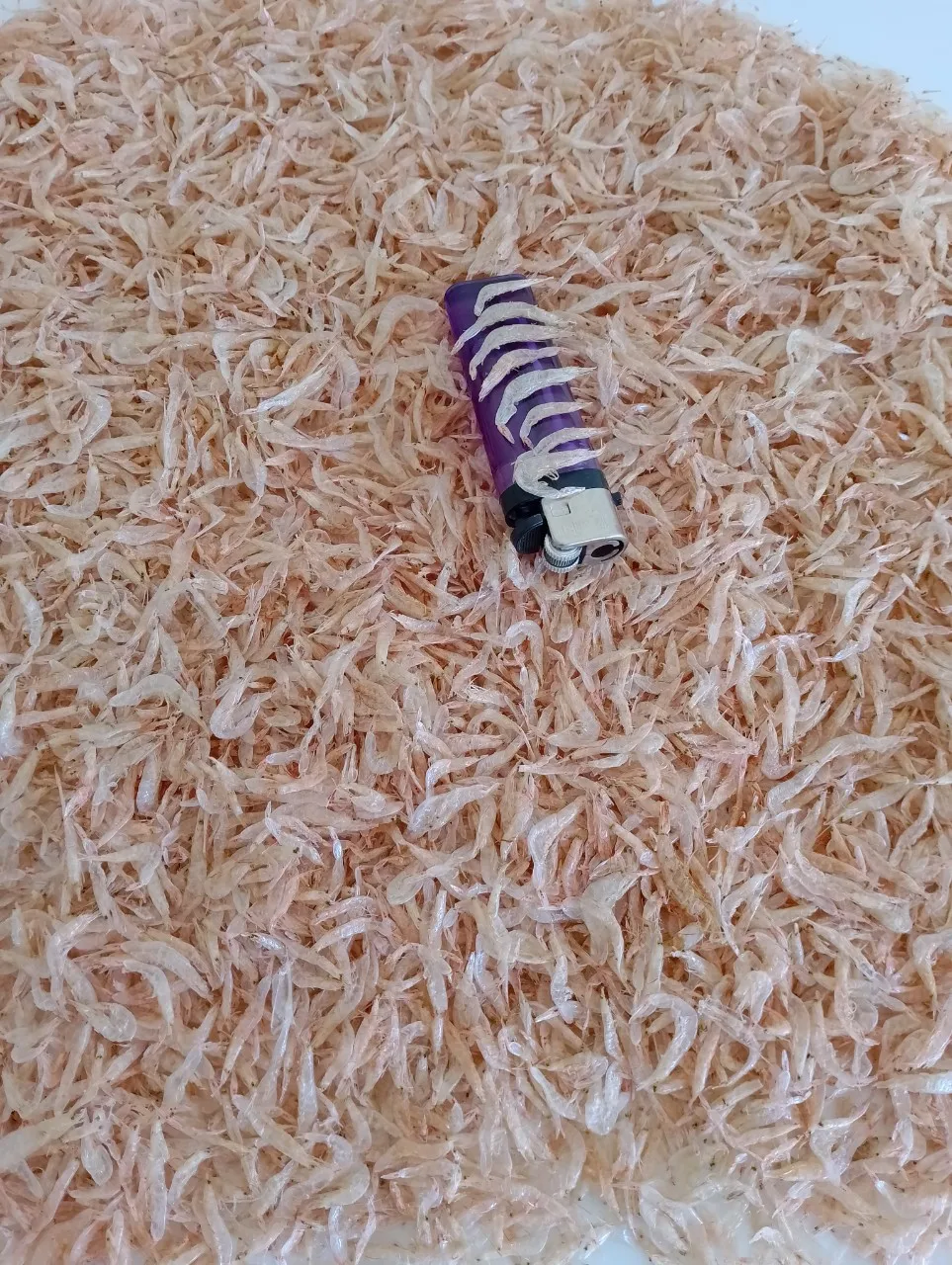 Wholesale dried anchovies dried shrimps high quality steamed anchovies 100% organic Made from Vietnam