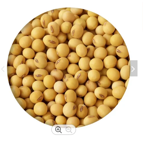 Soybeans NON-GMO Soya Beans Soybeans Crop High Quality Soybean/Soya Bean Wholesale