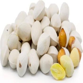 High Quality Ginkgo Nuts for Sale/Wholesale Best Quality