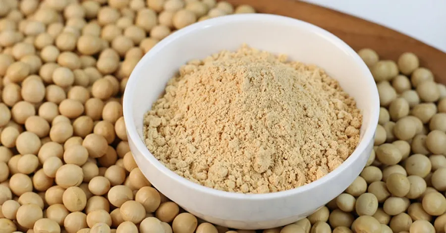 Protein Quality Soybean Meal / Soya Bean Meal for Animal Feed