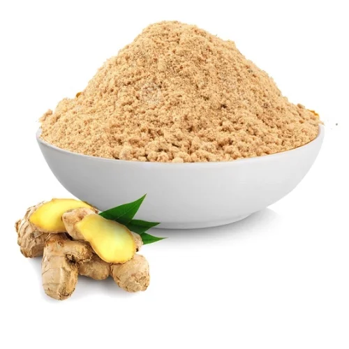 Новый 2023-вьетнамский имбирный порошок высокого качества-вьетнамские специи-экспортер имбиря-готов к доставке