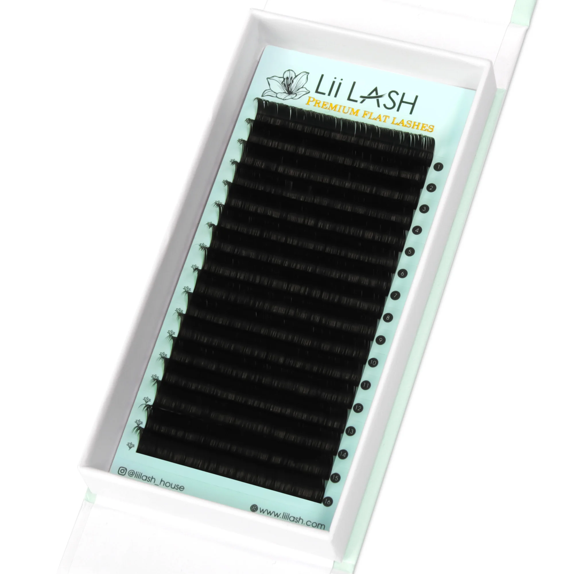 High quality Korean PBT fiber flat volume lashes ellipse base flat lash j curl lash tech supplies wholesale vendor