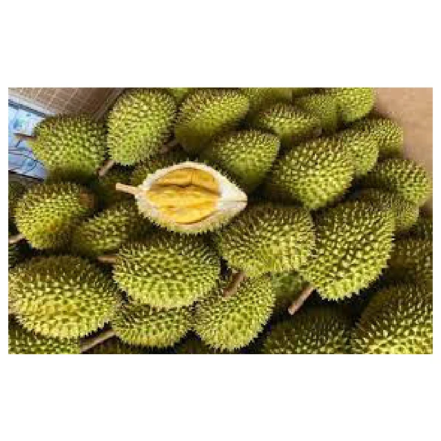 2024 New Crop Fresh Frozen Durian Fruit Products Sweet Taste