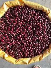 Red kidney Beans | Where to buy Red kidney beans in large quantity online
