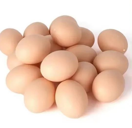 High Quality Farm Fresh Chicken Table Eggs Wholesale Best Price Cheap Sale from Brazil
