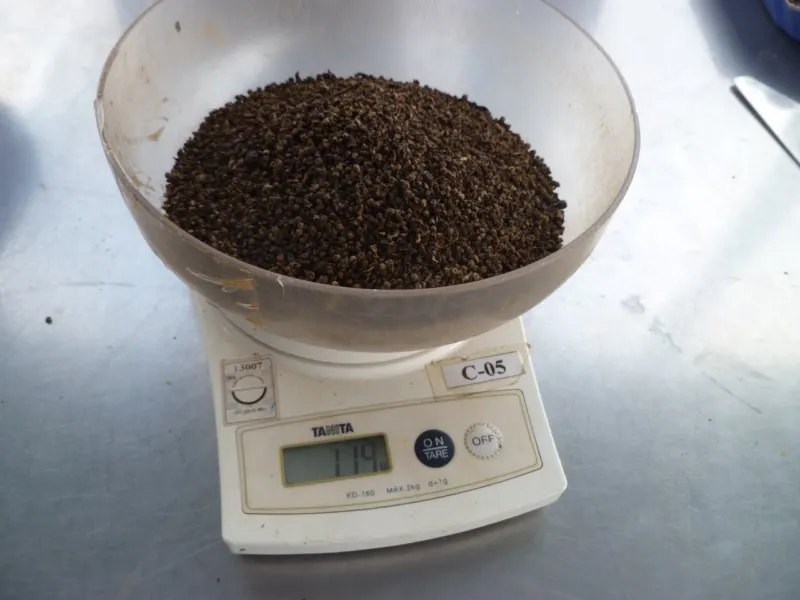 PINHEAD 1MM 1.5MM 2MM LIGHT BERRY WHITE PEPPER 630GL PEPPER CORN 2023 CROP OFFER