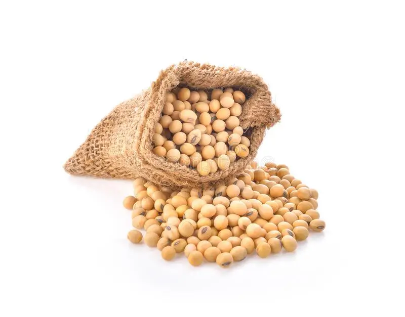 High Quality Non GMO Soybean Largest Stock And Supply Worldwide For The Best Market Rates From Bangladesh