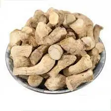 Shiitake Mushrooms Stems for Export in Large Quantities at Excellent Wholesale Prices