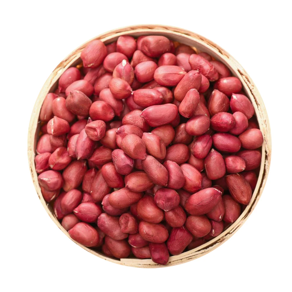 Best grade Groundnut Different Size of Counts and Good Taste of Peanut From Healthy Snacks Exporter Customised Packing