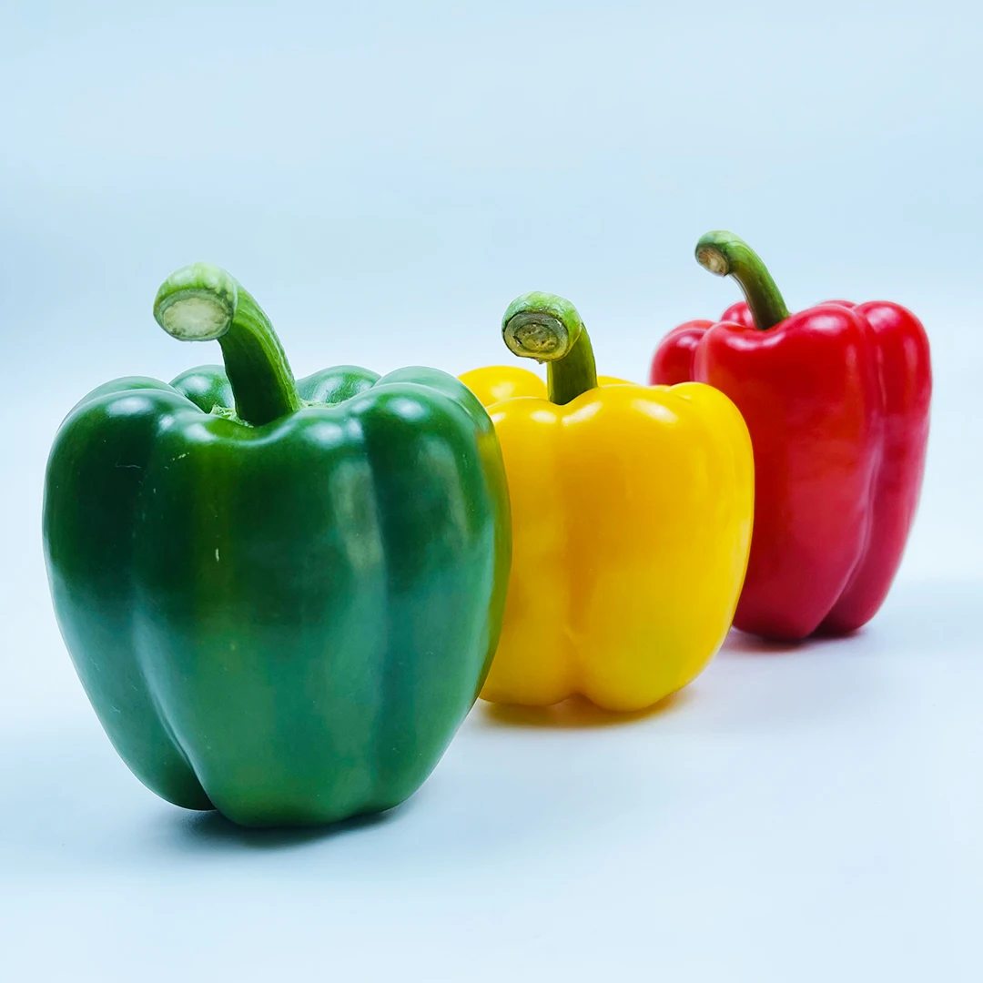 Quality Grade 100% Fresh & Natural Color Capsicum Fresh Exotic Vegetables Bell Peppers from Vietnam