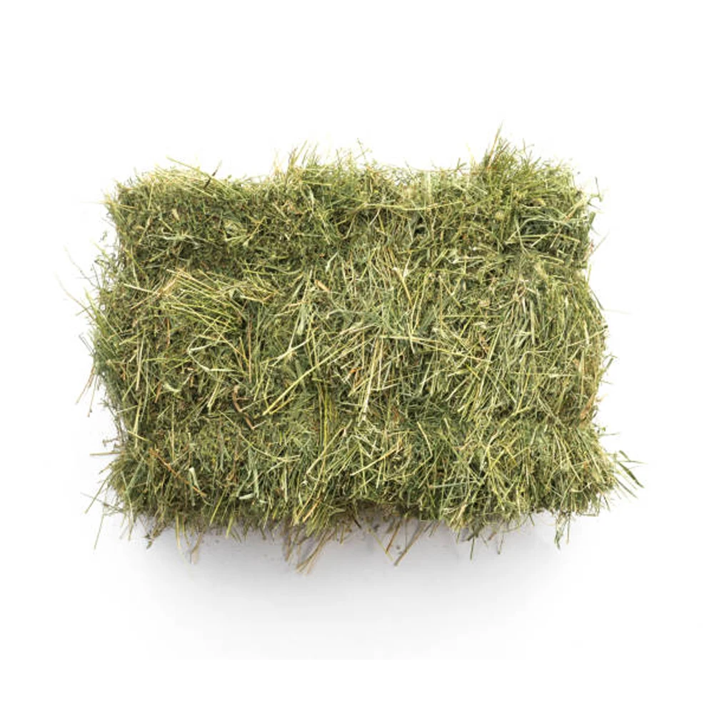 2022  Super Top Quality Alfafa Hay for Animal Feeding Stuff Alfalfa / Timothy / Alfalfa Hay for Sale