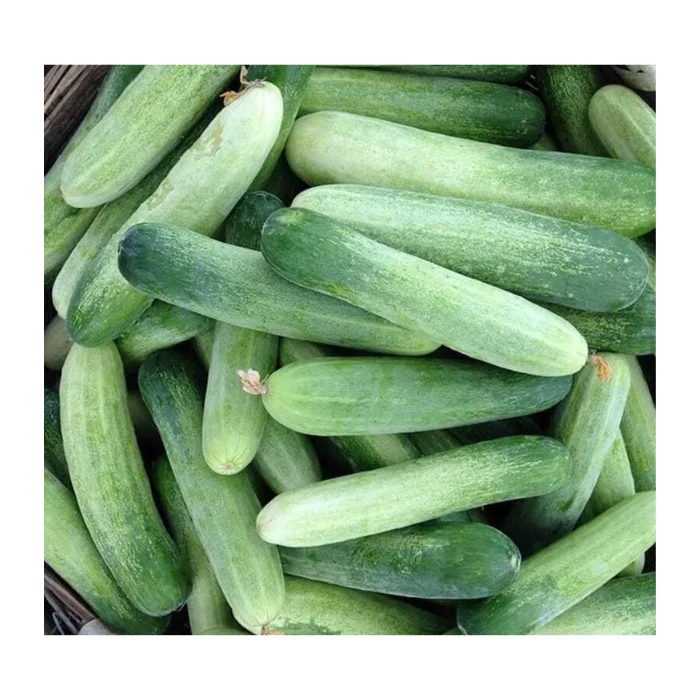 Свежие овощи в виде тыквы