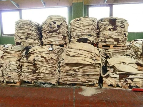 Premium Quality Wet Blue Cow Hides