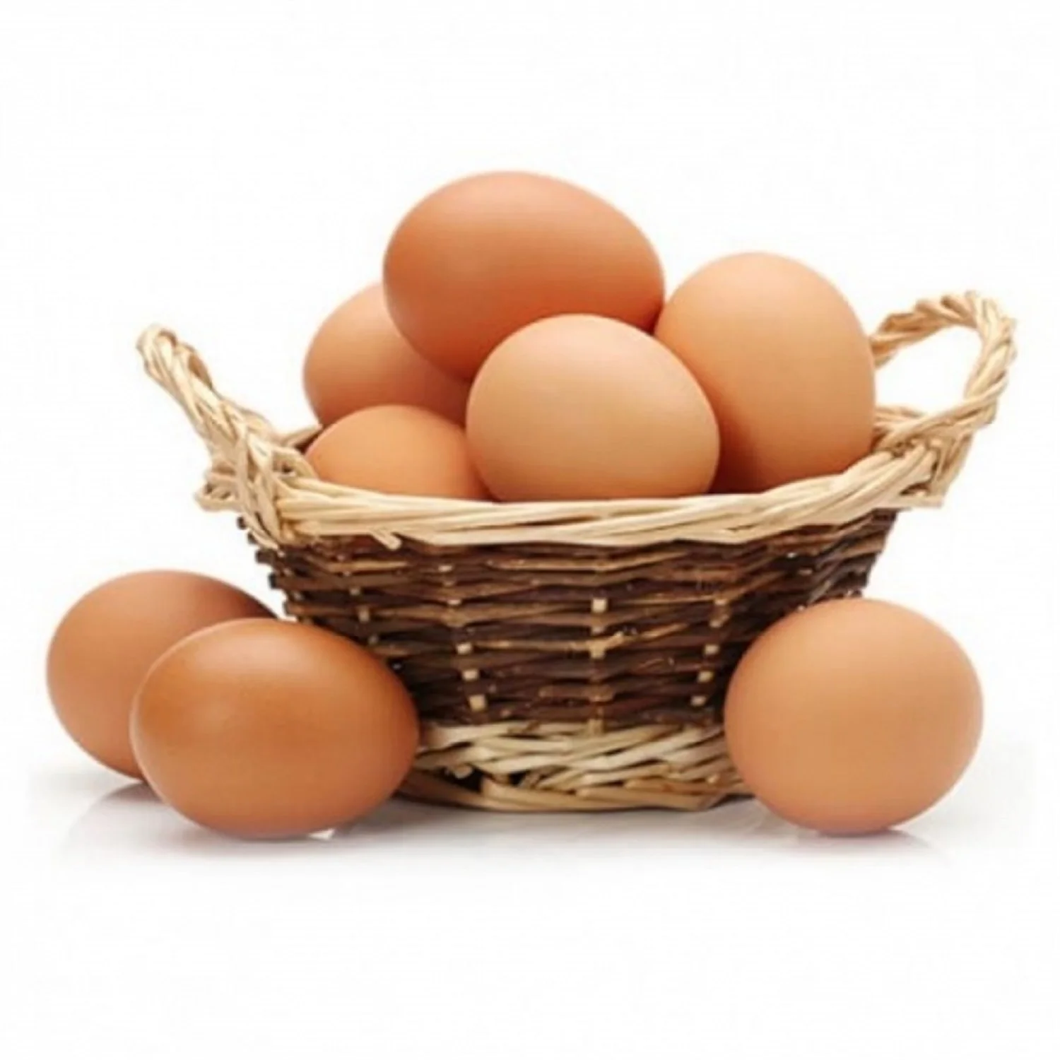 Best Quality Fresh Brown Table Chicken Eggs At Cheap Price world wide shipping available USA